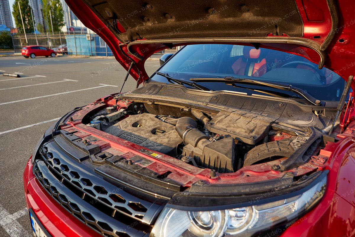 Фотографія авто для продажу Фотографія авто Range Rover кольору для продажу